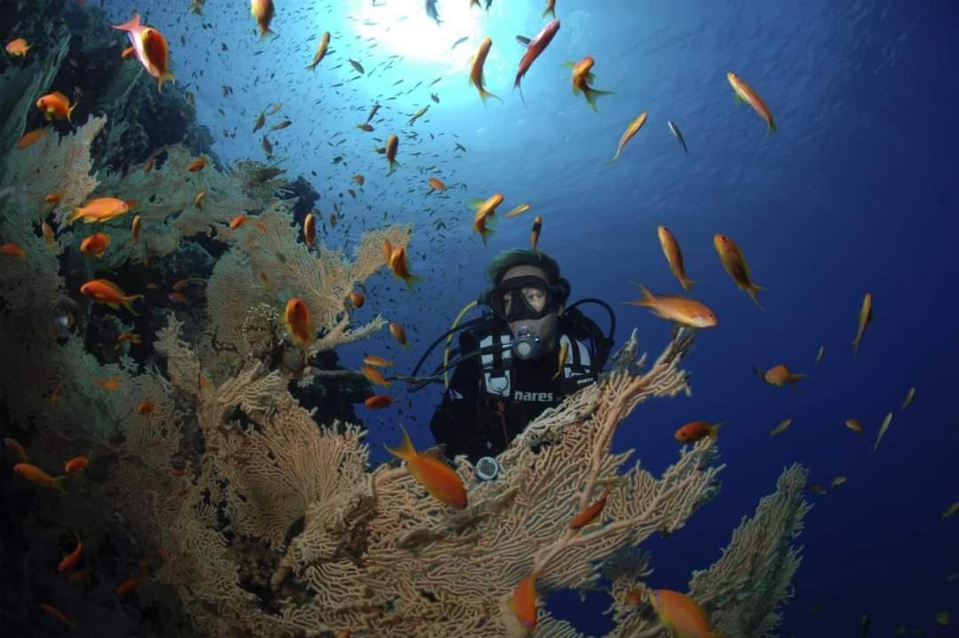 Horská chata Mesca Soma Bay